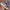 New Balance Streetwear Sportswear Sneakers Pria multicolor photo 2
