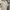 Nike Vintage Streetwear Polo shirt Pria cream photo 1