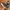 New Balance Streetwear Sportswear Sneakers Pria black photo 2