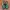 New Balance Streetwear Sportswear Sneakers Pria green photo 5