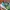 New Balance Streetwear Sportswear Sneakers Pria green photo 3