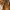 Michael Kors Vintage Wanita brown photo 2