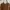 Michael Kors Vintage Wanita brown photo 1