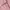 H&M Streetwear Sportswear Hoody Pria pink photo 6
