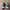 New Balance Casual Sneakers Pria green gray photo 4