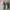 New Balance Casual Sneakers Pria green gray photo 3