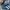 Adidas Indie Casual Sneakers Pria white navy photo 2