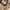 Callie Cotton Luxury Minimalist Going out dress Wanita tan photo 2
