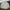 Vintage Avant Garde Parka Pria cream photo 1