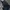 Uniform Bridge Biker Casual Jeans Pria Navy