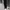 Adidas Streetwear Skater Sweatpants & Joggers Pria cream photo 7