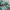 Adidas Casual Sneakers Pria white green photo 2