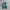 Adidas Casual Sneakers Pria white green photo 3