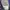 Dickies Streetwear Skater Fur coat Pria navy black photo 4