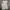 Valentino Casual Midi dress Wanita gray photo 1
