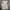 Valentino Casual Midi Dress Wanita Gray