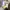 Valentino Casual Midi dress Wanita gray photo 4