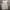 Valentino Casual Midi Dress Wanita Gray