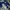 Avant Garde Sweatshirt Pria white navy photo 3