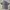 Guess Vintage Y2K Polo shirt Pria navy blue photo 3
