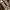 Converse Casual Sneakers Pria brown photo 3