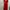 Luxury Jumpsuit Wanita red photo 1
