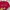 Quiksilver Streetwear T-shirt Pria red photo 3