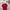 Quiksilver Streetwear T-shirt Pria red photo 4