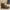 Visvim Streetwear Boots Pria brown photo 3