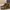 Visvim Streetwear Boots Pria Brown