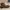 Visvim Streetwear Boots Pria brown photo 7