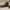 Visvim Streetwear Boots Pria brown photo 8
