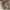 Visvim Biker Boots Pria brown photo 6
