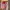 VANS Skater Sneakers Wanita red photo 1