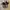 Maison MIHARA YASUHIRO Casual Casual shoe Pria white photo 2