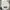 Neighborhood Minimalist Casual shirt Pria white photo 2