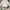 Neighborhood Minimalist Casual shirt Pria white photo 1