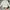 Neighborhood Minimalist Casual Shirt Pria White