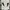 Visvim Streetwear Minimalist Casual shirt Pria white photo 2