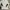 Visvim Streetwear Minimalist Casual shirt Pria white photo 1