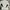 Visvim Streetwear Minimalist Casual Shirt Pria White