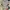 Visvim Streetwear Minimalist Casual shirt Pria gray photo 1