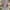 Visvim Streetwear Minimalist Casual Shirt Pria Gray