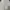 Casual High waisted jeans Wanita white photo 4