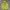 Streetwear Y2K Hoody Pria yellow photo 1