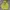 Streetwear Y2K Hoody Pria Yellow