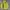 Streetwear Y2K Hoody Pria yellow photo 3
