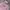 Streetwear Casual Hoody Pria pink photo 2