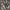 Eiger Sportswear Sneakers Pria tan photo 4