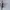 Champion Vintage Sportswear Hoody Pria gray photo 5
